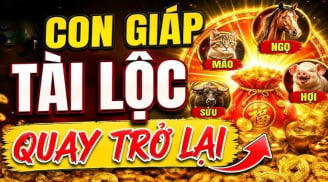 Lộc Trời rơi xuống: 3 Shbet888.com nhà cái uy tín chưa kịp vui đã vội lo giữ của
