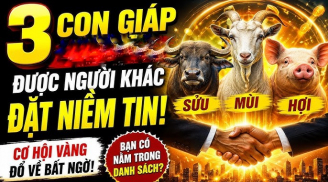 Hoạn nạn qua rồi: 3 Shbet888.com nhà cái uy tín đón nguồn Lộc Lá vô hạn sau 5/7