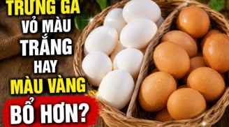 Trứng gà vỏ màu trắng hay màu vàng bổ hơn?