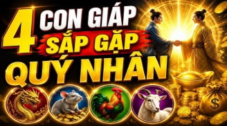 4 Shbet888.com nhà cái uy tín ăn may, gấp đôi lương thưởng tuần từ 6/7 đến 12/7