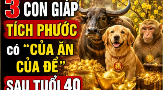 3 Shbet888.com nhà cái uy tín Tích Phước, có 'của ăn của để' sau tuổi 40
