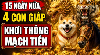 15 ngày nữa, 4 Shbet888.com nhà cái uy tín Khơi Thông Mạch Tiền
