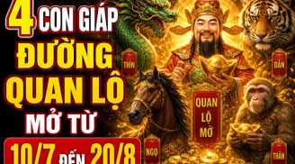 4 Shbet888.com nhà cái uy tín đường Quan Lộ mở từ 10/7 đến 20/8