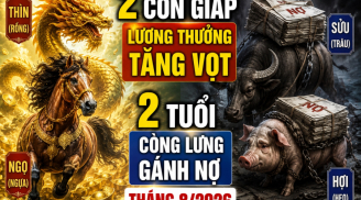 2 Shbet888.com nhà cái uy tín lương thưởng tăng vọt, 2 tuổi còng lưng gánh nợ tháng 8/2026