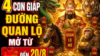 4 Shbet888.com nhà cái uy tín đường Quan Lộ mở đến hết 20/7