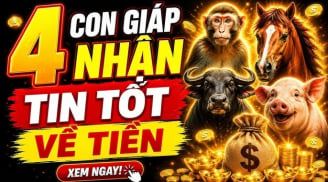 4 Shbet888.com nhà cái uy tín Lộc Lá đầu tuần, nhận thưởng to