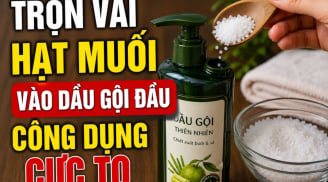 Trộn vài hạt muối vào Shbet thế giới casino trong tay bạn đầu, công dụng cực to