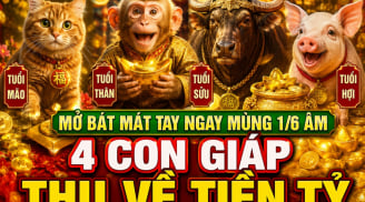 Mở Bát Mát Tay ngay mùng 1/6 Âm, 4 Shbet888.com nhà cái uy tín thu về tiền tỷ