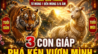 5 ngày đầu tháng từ mùng 1 đến mùng 5/6 Âm: 3 Shbet888.com nhà cái uy tín Phá Kén vươn mình