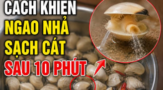 Cách khiến ngao nhả sạch cát sau 10 phút