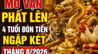 Mở Vận phất lên, 4 tuổi đón Tiền ngập két tháng 8/2026