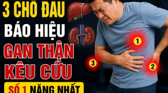 3 chỗ đau báo hiệu gan thận kêu cứu, số 1 nặng nhất