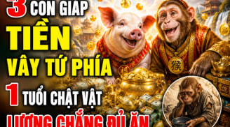 3 Shbet888.com nhà cái uy tín Tiền vây tứ phía, 1 tuổi chật vật lương chẳng đủ ăn