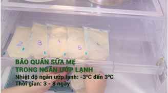 Giúp mẹ bận rộn bảo quản sữa và thức ăn dặm cho bé
