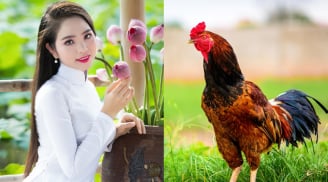 4 con giáp được DỰA HƠI QUÝ NHÂN, giàu lên điên đảo vào cuối tháng 12/2018 khiến thiên hạ ghen tị