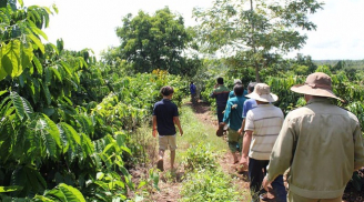 Vụ bé 7 tuổi bị hiếp dâm rồi sát hại: Nghi can là người cùng địa phương