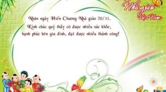 Nguồn gốc và ý nghĩa ngày hiến chương nhà giáo Việt Nam 20-11