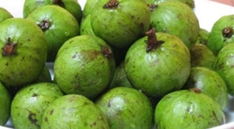 Mẹo bảo quản sấu tươi ngon trong tủ lạnh suốt cả năm