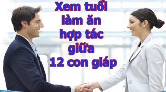ĐINH DẬU 2017: Nhóm CON GIÁP cùng “chí hướng chinh phục thành công” trong mọi lĩnh vực