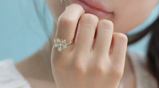 Thêm vật này cả năm 2017 bạn gặp may mắn và tiền vào vô kể