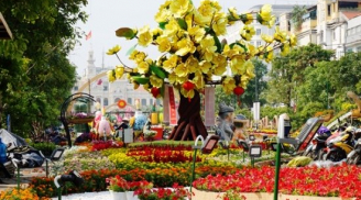 Xuất hành năm mới 2017: Ngày mồng 3 tết đi theo hướng này tiền đếm mỏi tay, vận may kéo đến