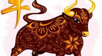 Tuổi Quý Sửu năm Đinh Dậu 2017: Tất tần tật những điều cần lưu ý
