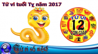 Tuổi Kỷ Tỵ năm Đinh Dậu 2017: Tất tần tật những điều cần lưu ý