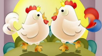 Tuổi Quý Dậu năm Đinh Dậu 2017: Tất tần tật những điều cần lưu ý