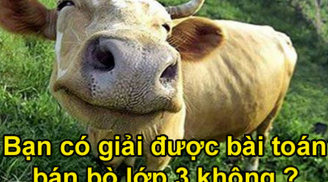 Thách đố giải bài toán đơn giản, người lớn 'khóc thét' vì không thông minh bằng học sinh Tiểu học