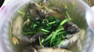 Vợ vụng ra tay nấu canh cá rô rau cải nguyên con, trắng ợt: Chồng mắng te tua, chị em cười bò
