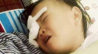 Bé gái 2 tuổi bị gà chọi đá mù mắt: 'Giống gà chọi nhưng không được đi đá chọi bao giờ'