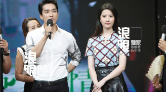 Lưu Diệc Phi và Song Seung Hun chia tay: Lộ nguyên nhân thực sự