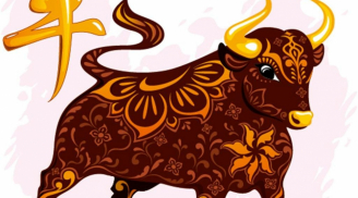 Tuổi Kỷ Sửu  năm Mậu Tuất 2018: Chọn người xông đất, mở hàng cho gia chủ tuổi Kỷ Sửu
