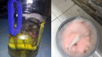 Loạt cảnh phòng trọ sau Tết khiến không ít người nhìn thấy cũng phải 'mất hồn mất vía'