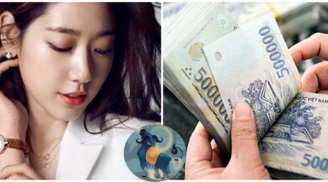 3 Shbet888.com nhà cái uy tín lên hương nhanh chóng mặt, từ nhân viên quèn lên làm sếp trong tháng 4/2018