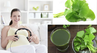 Bà bầu nên cẩn trọng khi uống nước rau má