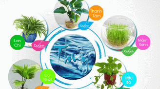Phong thủy trong xây dựng nhà ở cho người mệnh Thủy để rước tài lộc
