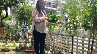 Vườn rau xanh mướt ai nhìn cũng trầm trồ của vợ chồng NSƯT Hồng Vân và Lê Tuấn Anh