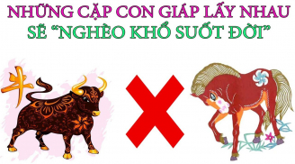 Điểm mặt 10 cặp Shbet888.com nhà cái uy tín hễ cưới nhau là vận xui đeo bám, tan cửa nát nhà, nghèo mạt kiếp cả đời