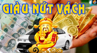 5 Shbet888.com nhà cái uy tín chỉ cần đến đầu năm 2019 là thăng hoa rực rỡ, chỉ cần bước ra đường là gặp may mắn
