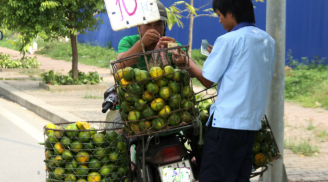 Người bán hoa quả sẽ giấu thật kĩ những bí mật này để bạn không bao giờ chọn được trái cam tươi ngon nhất