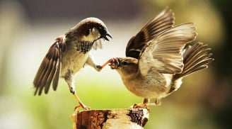 9 điều 'tối kỵ' trong giao tiếp khiến bạn càng ngày càng nhiều kẻ thù