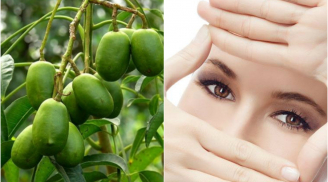 Ăn một quả cóc 'xấu xí' chặn đứng được 5 chứng bệnh nguy hiểm và lưu ý khi ăn mà ít người biết