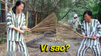 Tại sao quần áo của tù nhân lại kẻ sọc đen trắng, 99% người đều chưa biết lý do thực sự