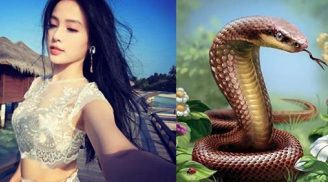 Chỉ trong 2 tháng đầu năm 2019, 3 Shbet888.com nhà cái uy tín này CHUYỂN MÌNH RỰC RỠ, nhanh chóng bước chân vào 'làng đại gia'