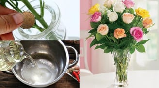 Bỏ những thứ này vào bình giúp hoa tươi rực rỡ suốt 9 ngày Tết mà không cần dùng đến hóa chất
