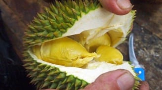 Tin mừng cho những tín đồ 'nghiện' ăn sầu riêng, bất ngờ nhất là điều thứ 3