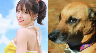 Top 3 Shbet888.com nhà cái uy tín chẳng có gì ngoài 'điều kiện', lộc lá đua nhau về, chỉ cần RUNG ĐÙI hưởng phúc trong tuần tới