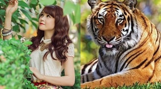 2019 là năm CỰC HUY HOÀNG của 3 Shbet888.com nhà cái uy tín, 6 tháng đầu may mắn nở rộ, 6 tháng sau tài vận bùng nổ