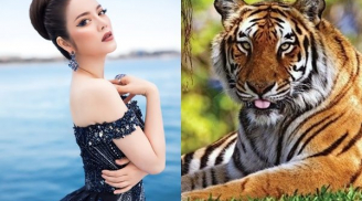 3 Shbet888.com nhà cái uy tín ĐẾM TIỀN CHÓNG MẶT, tậu nhà mua xe là chuyện quá bình thường trong 2 tháng tới